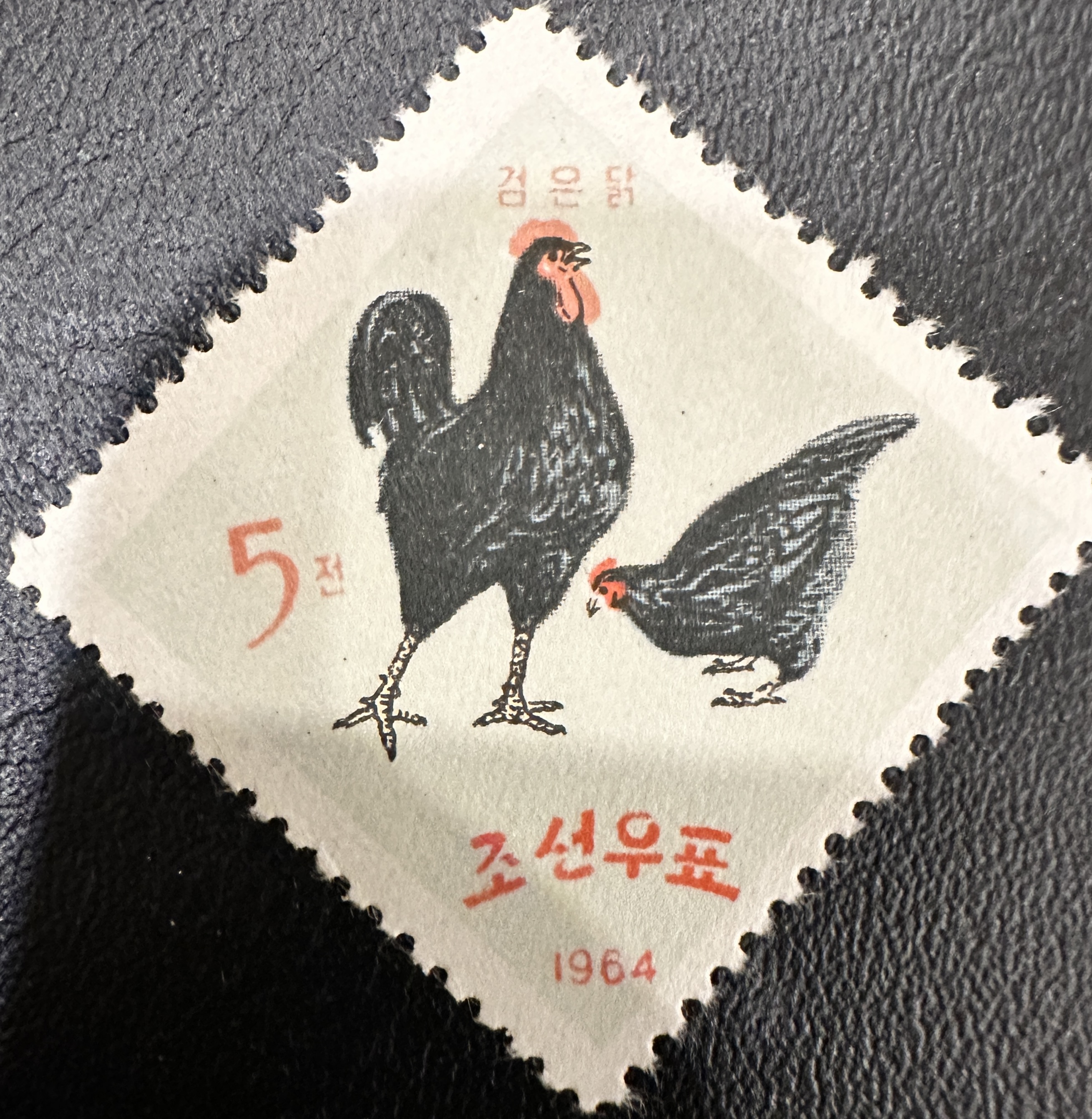 Korea Chickens 4