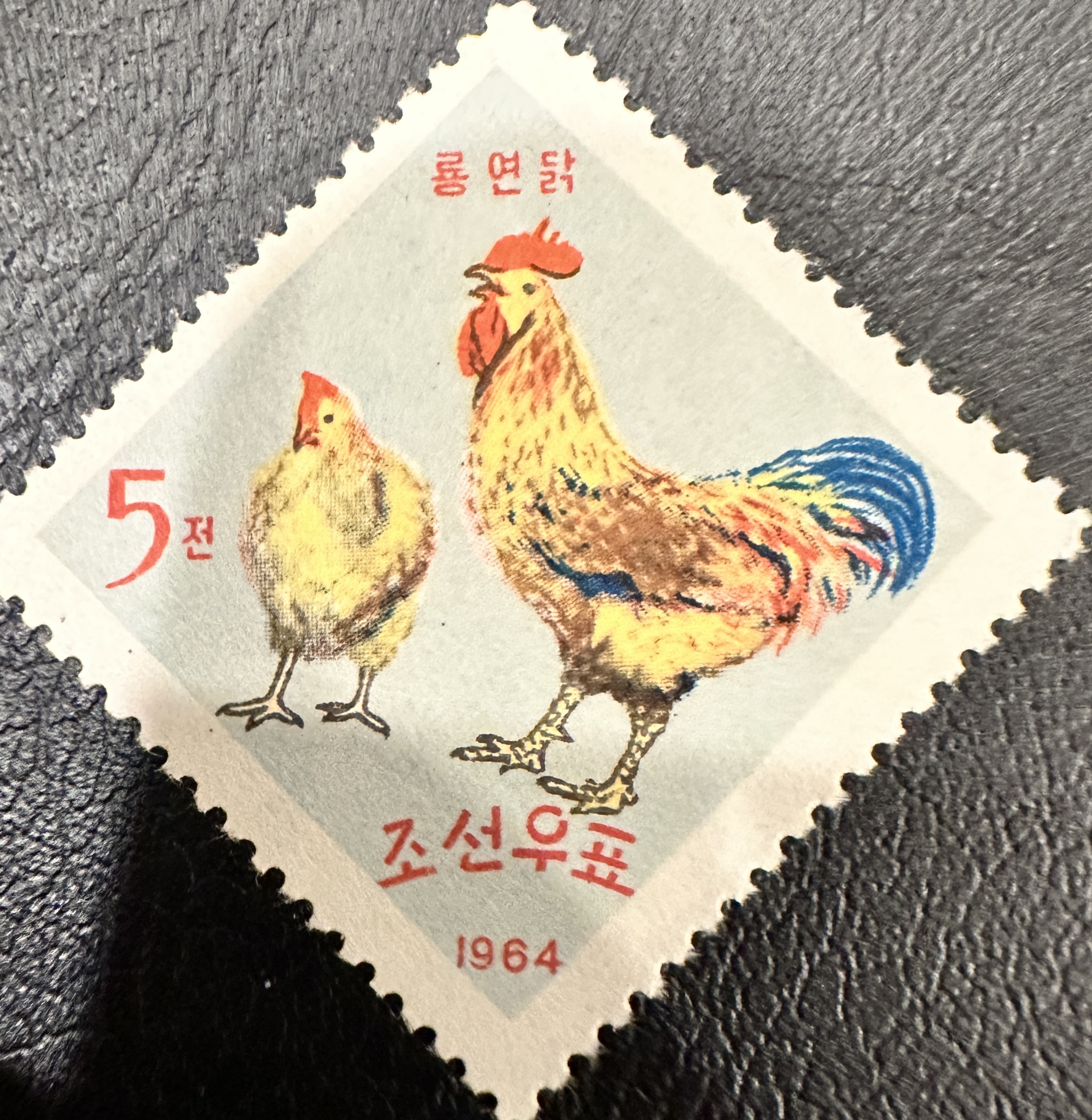 Korea Chickens 3