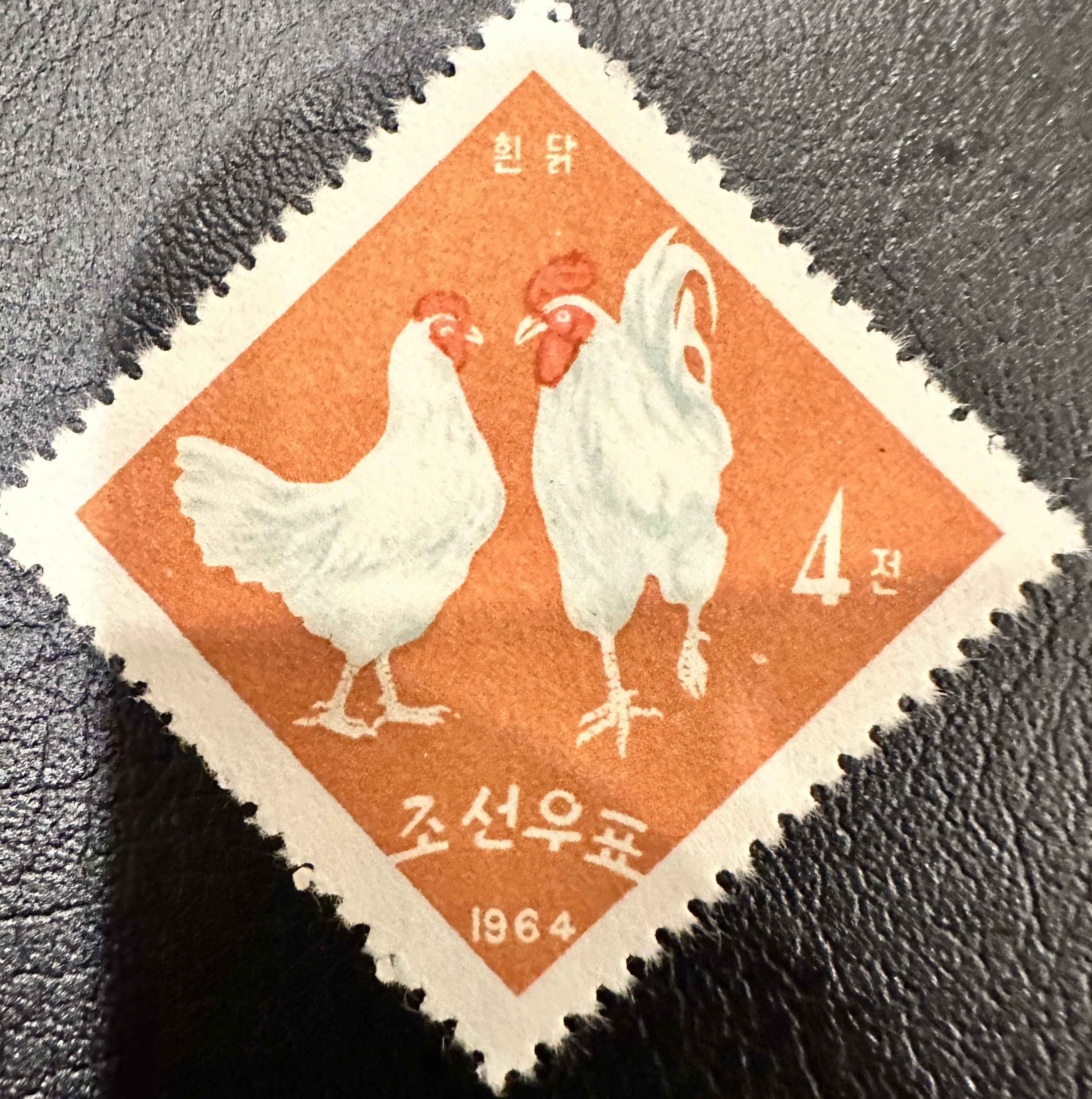 Korea Chickens 2