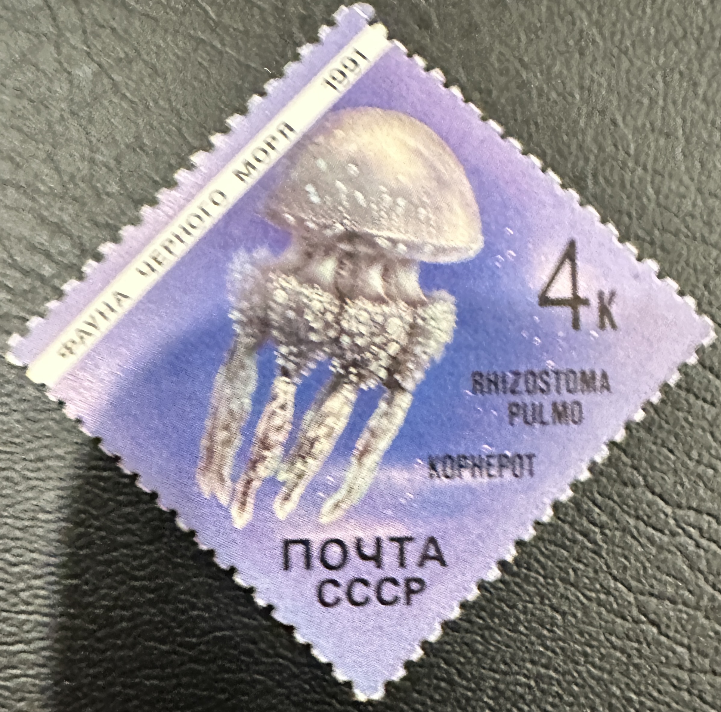 Russian Jellyfish