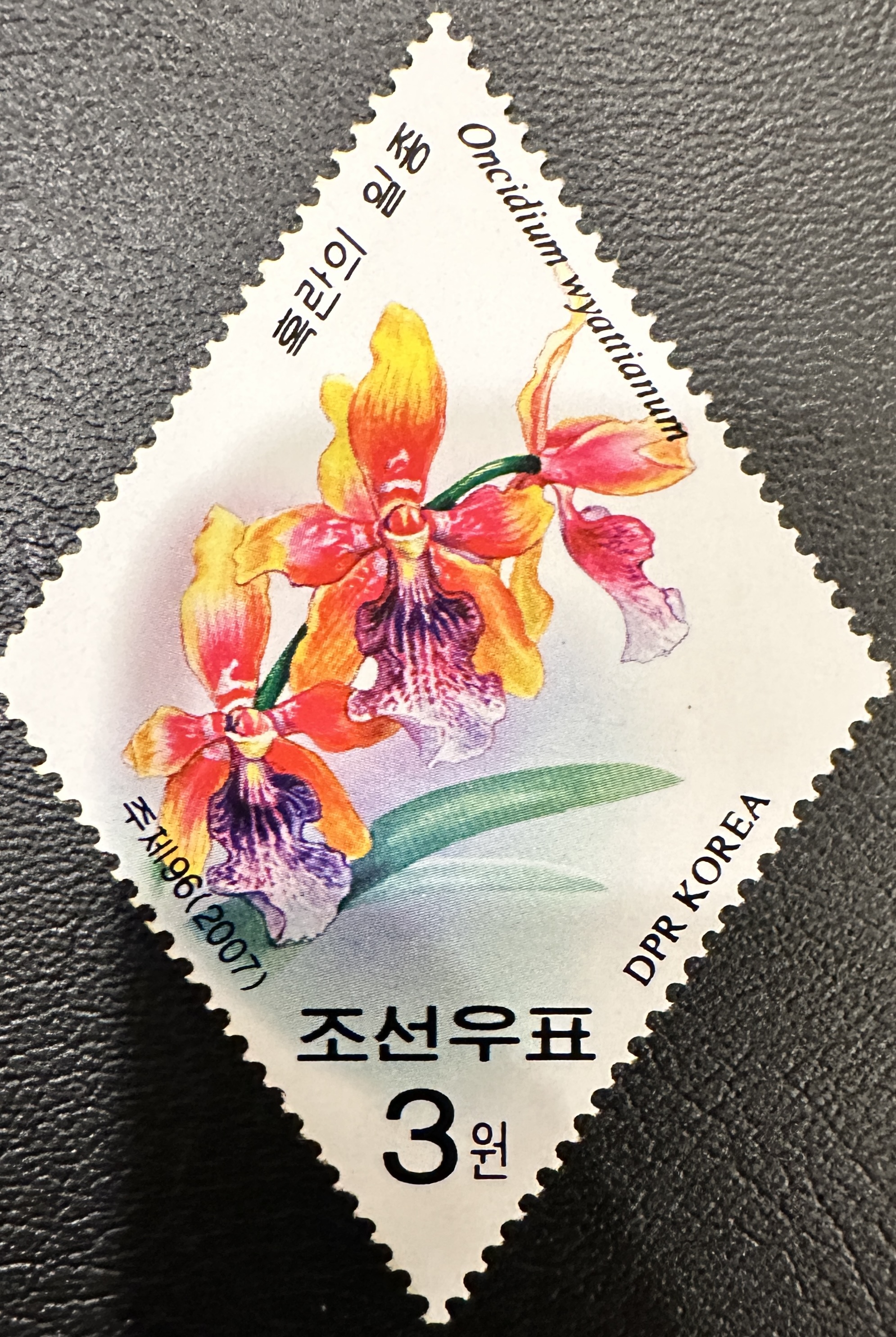 North Korea Flowers 4