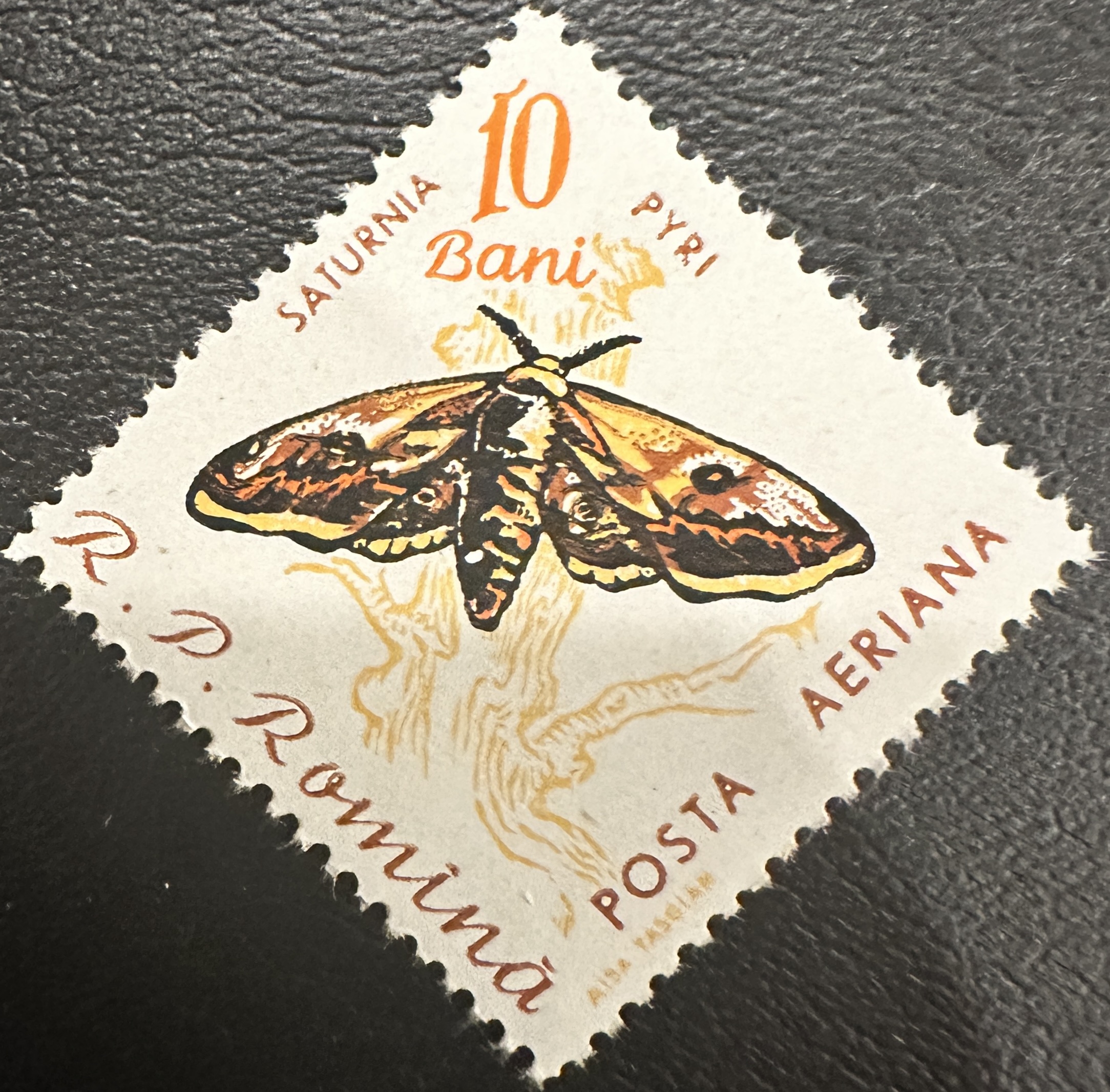 1960 Diamond Butterfly