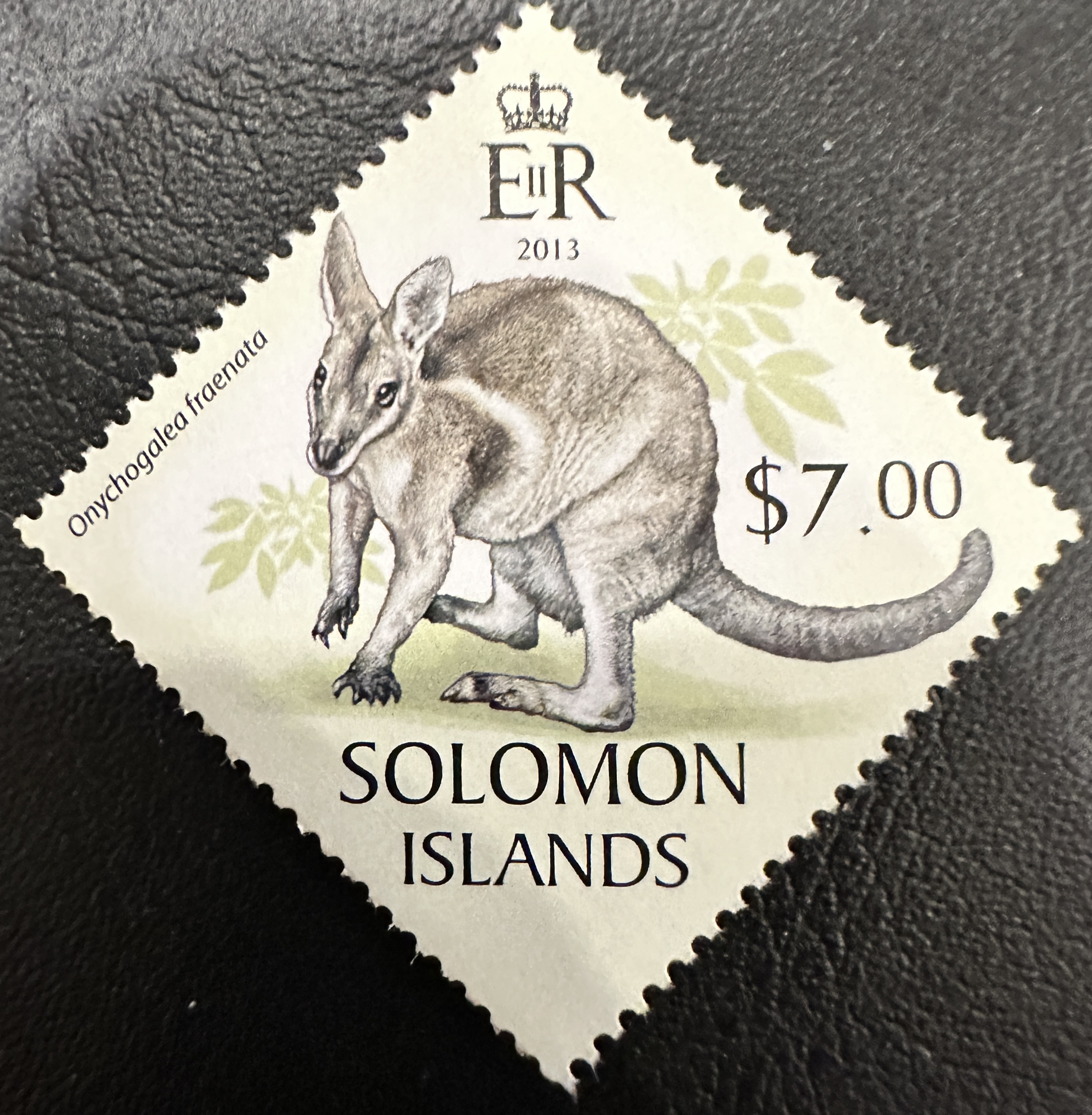 2013 Solomon Islands 3