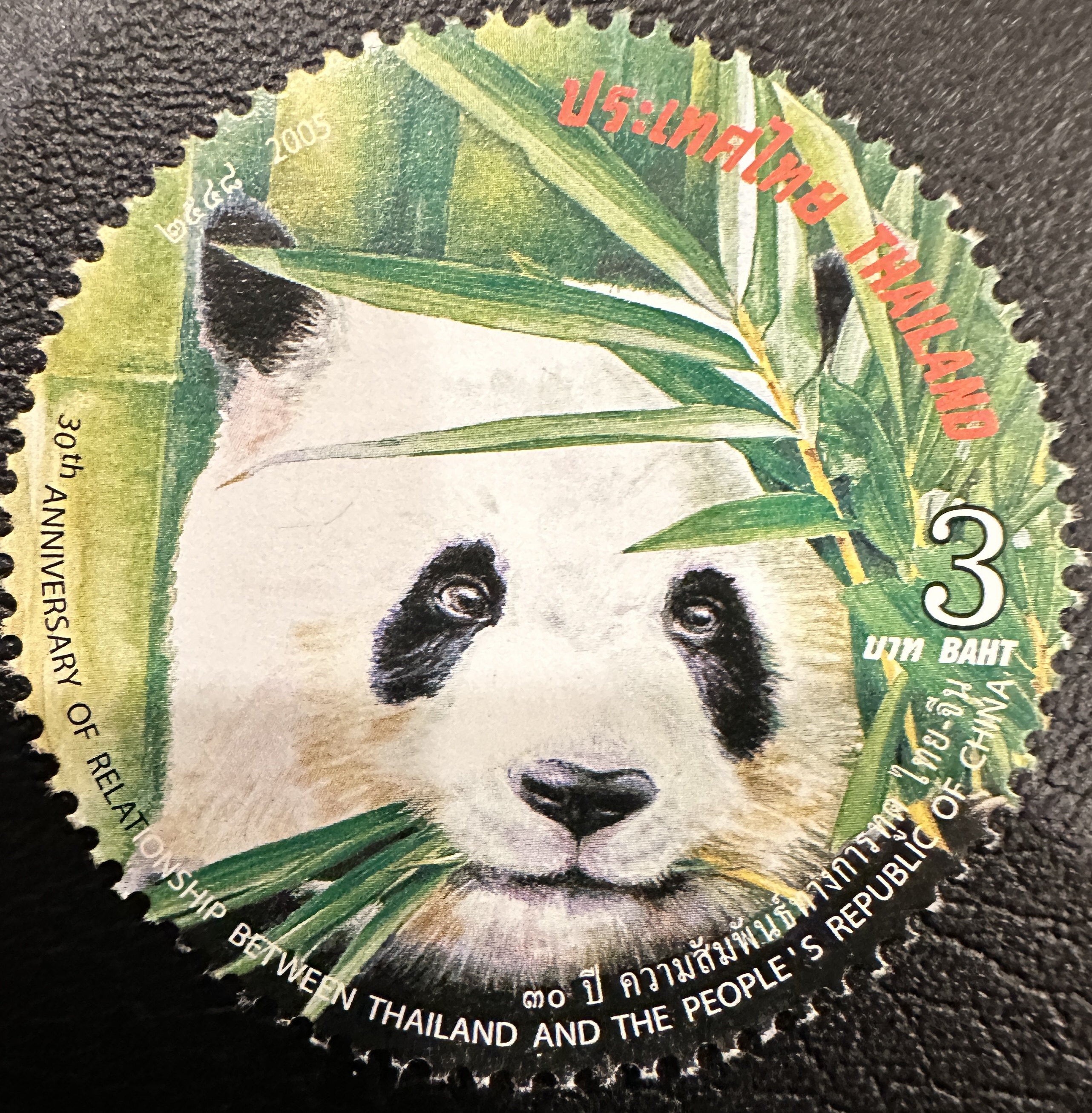 Thailand Panda 2