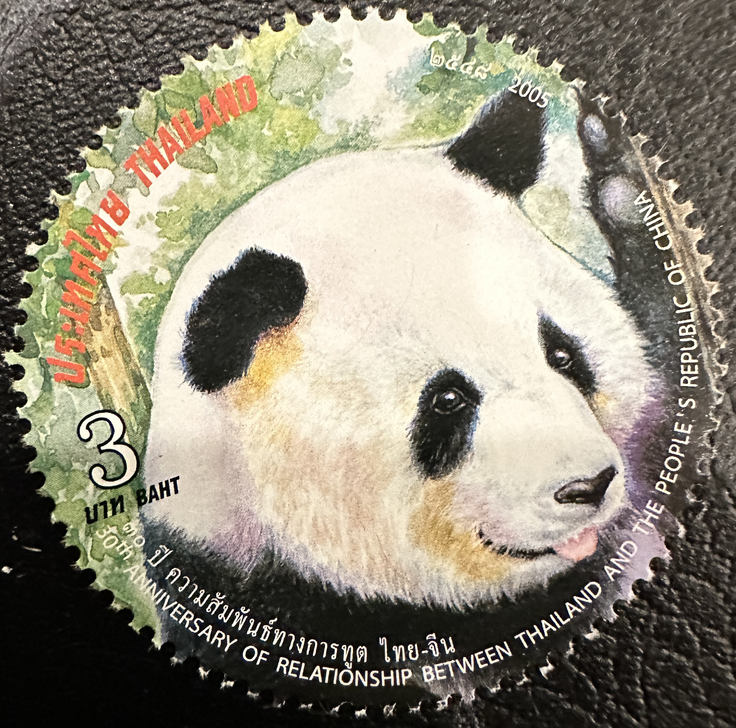 Thailand Panda 1