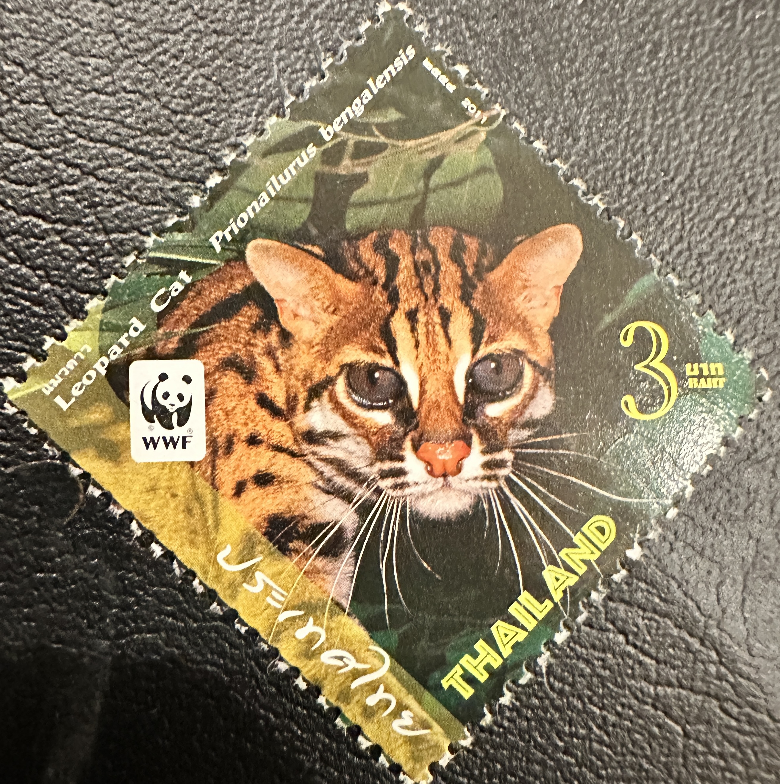 Thailand WWF 3