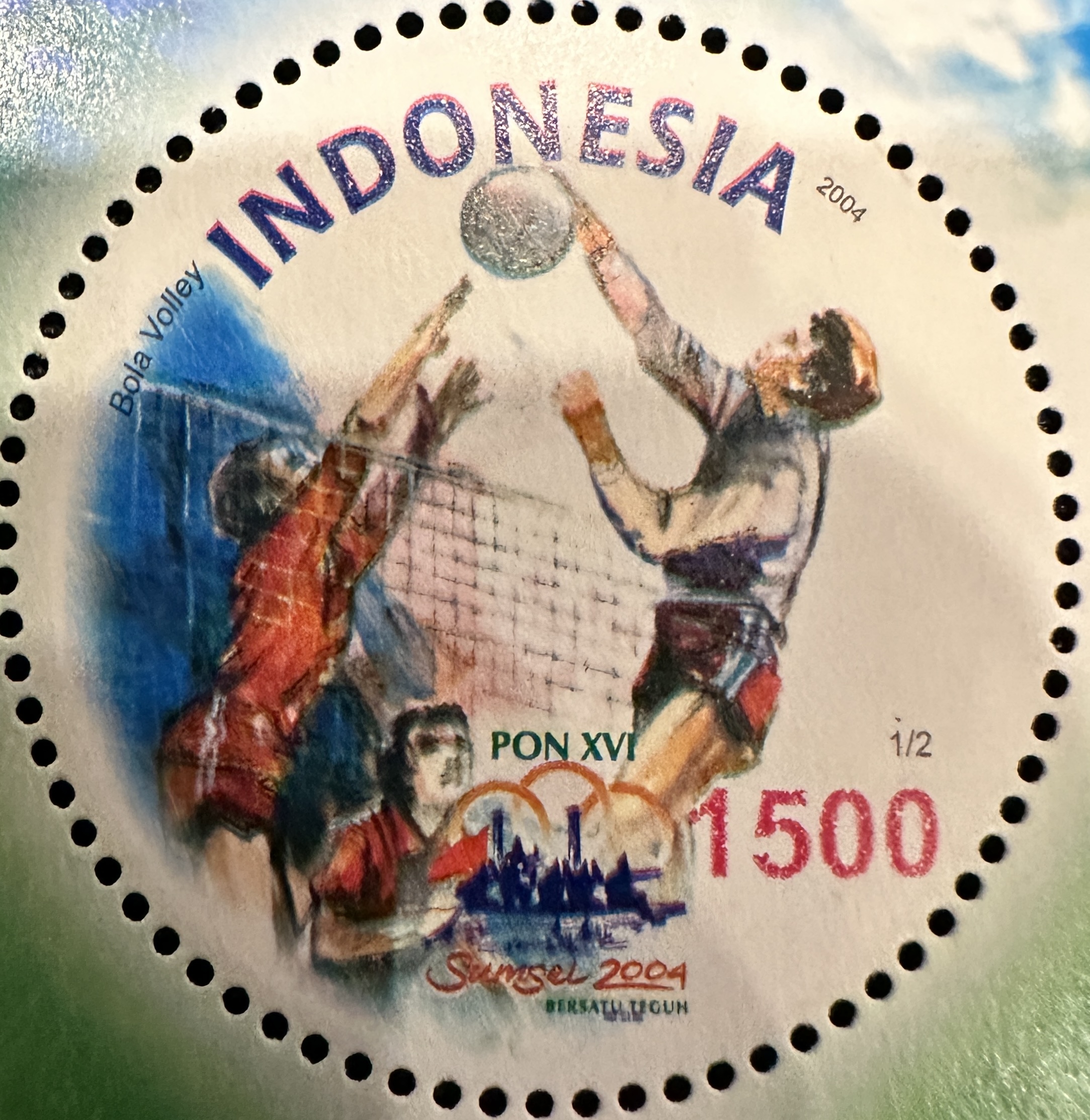 Indonesia Volleyball