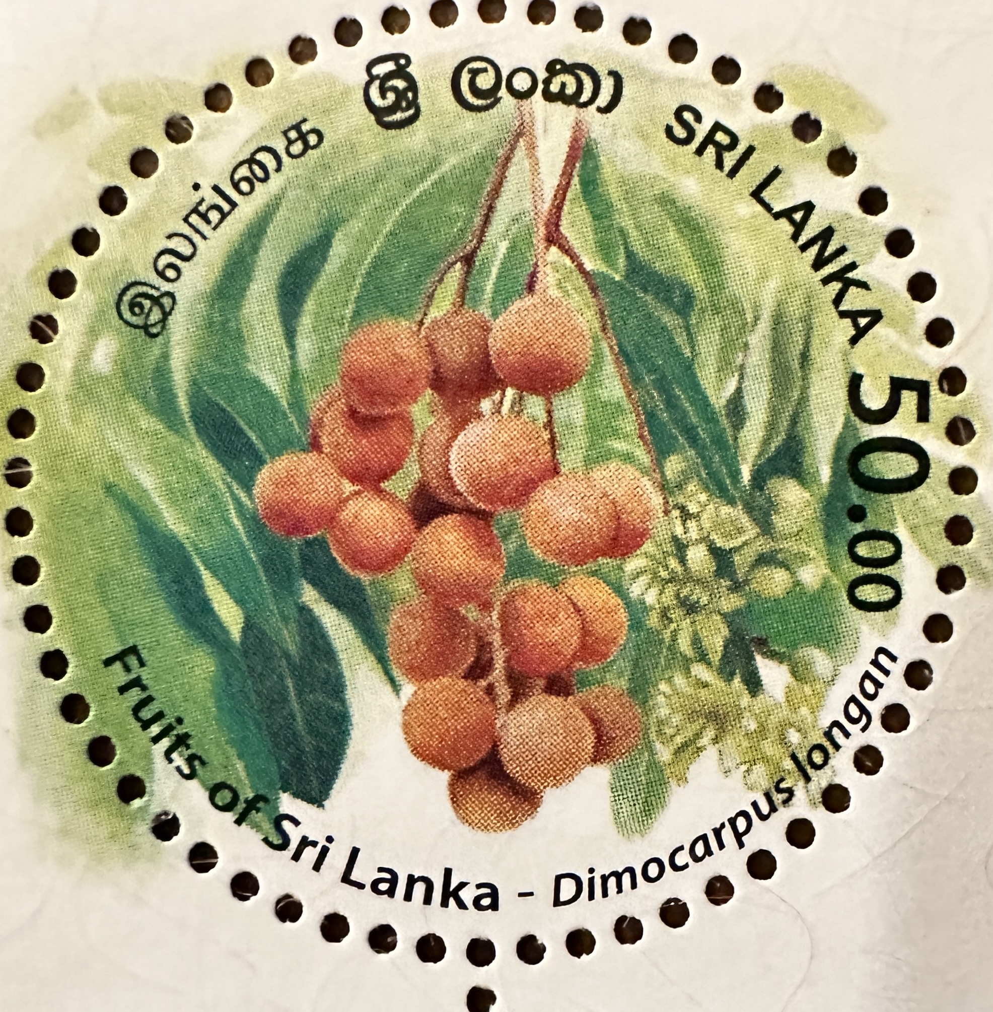 Sri Lanka Fruit 2