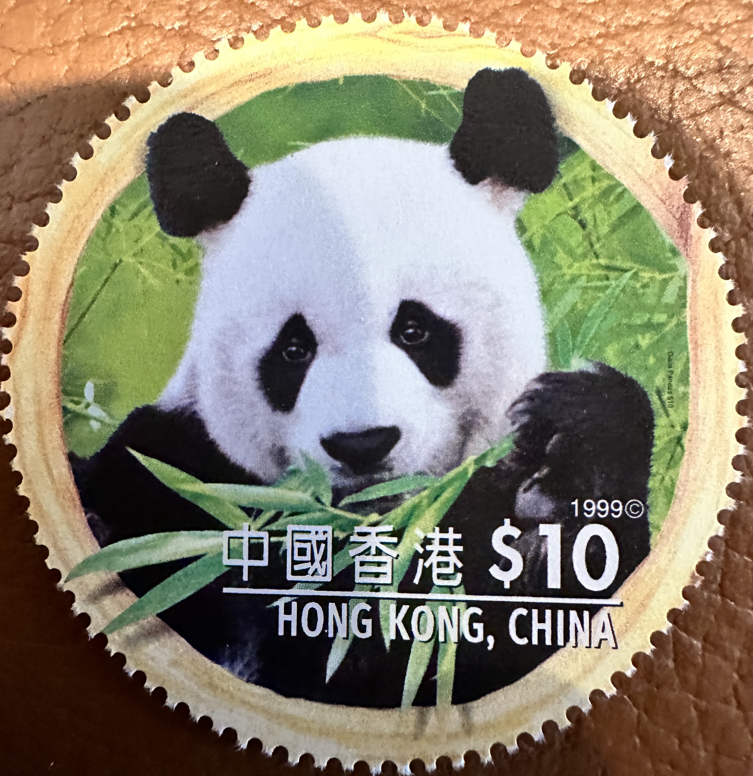 Hong Kong Panda 1999