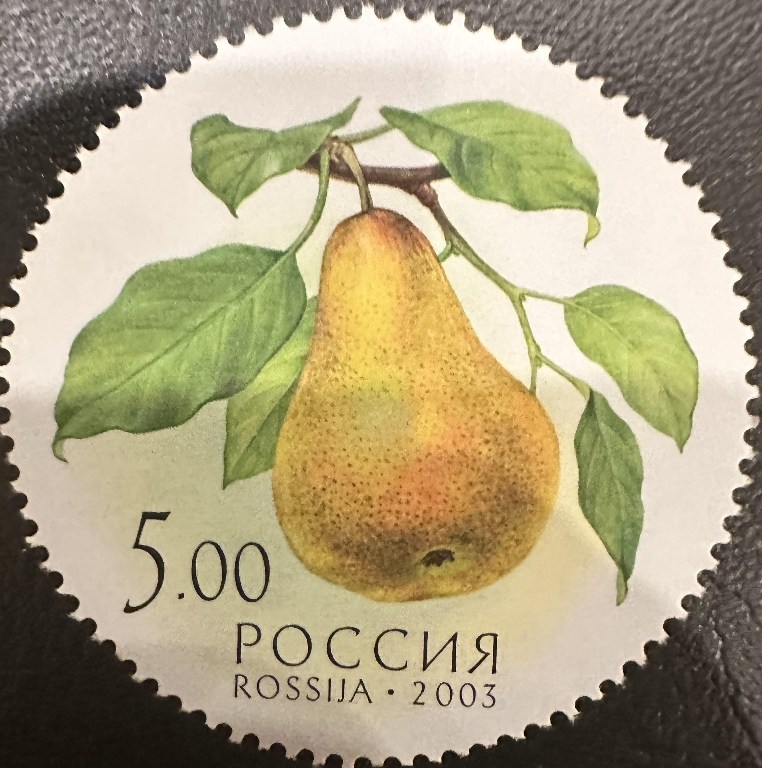 Russia Round Fruit 3