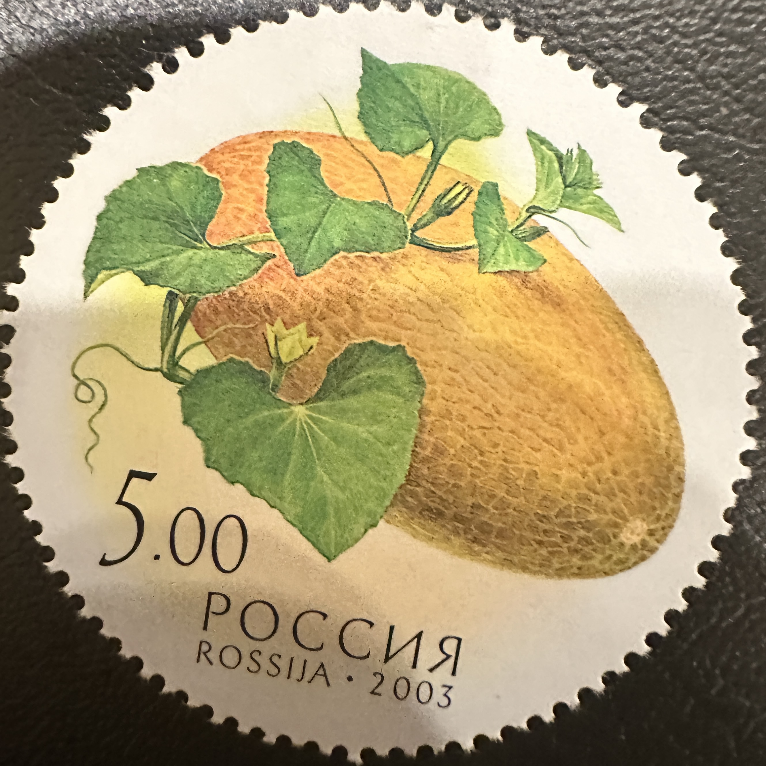 Russia Round Fruit 4