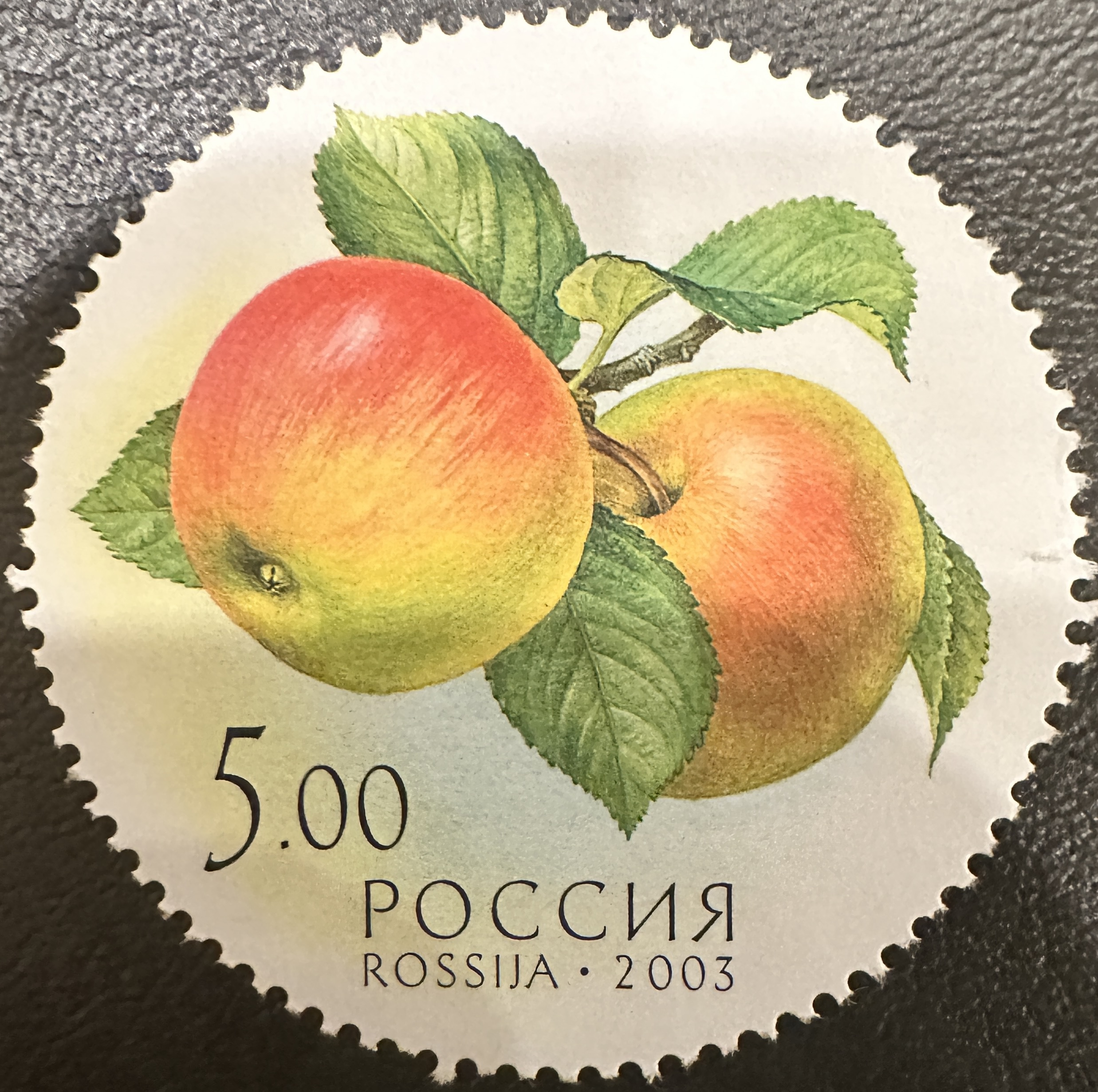 Russia Round Fruit 5