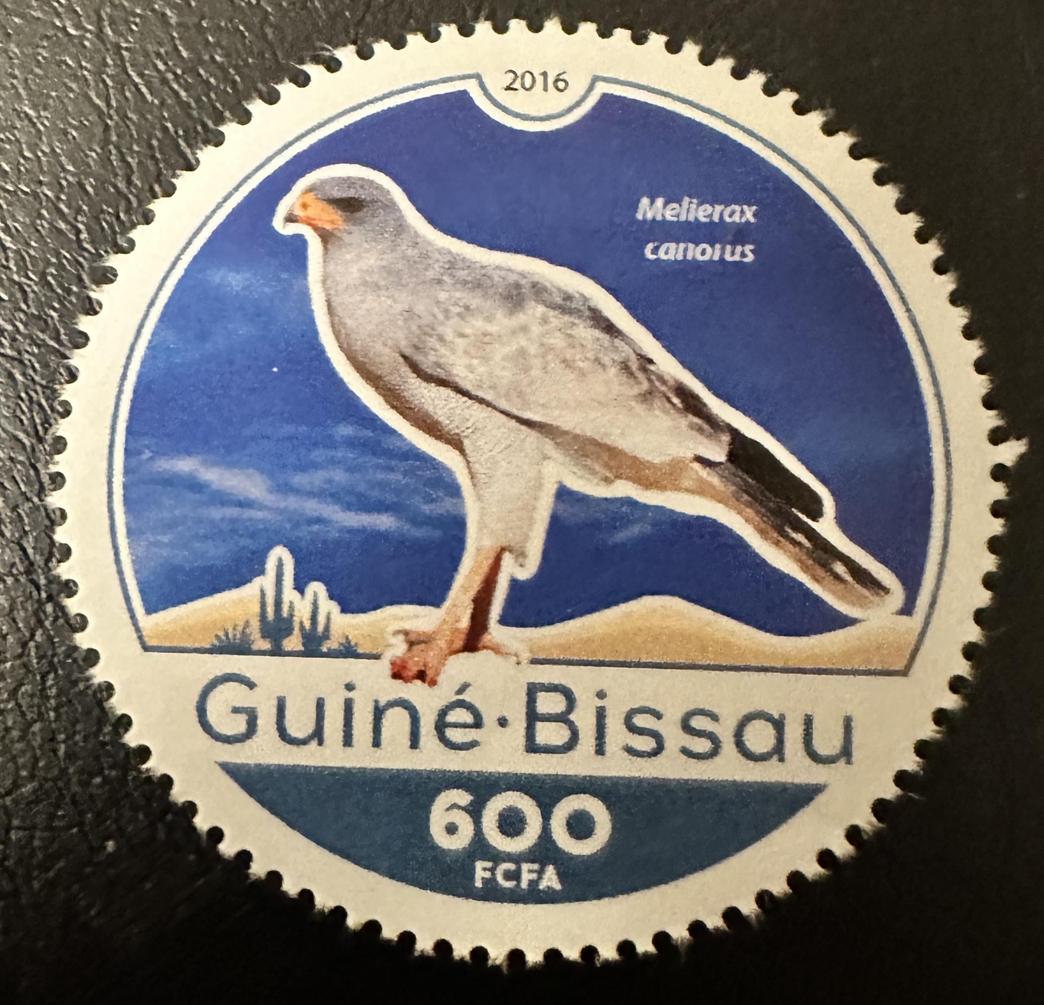 Guinea Bisau Round 5