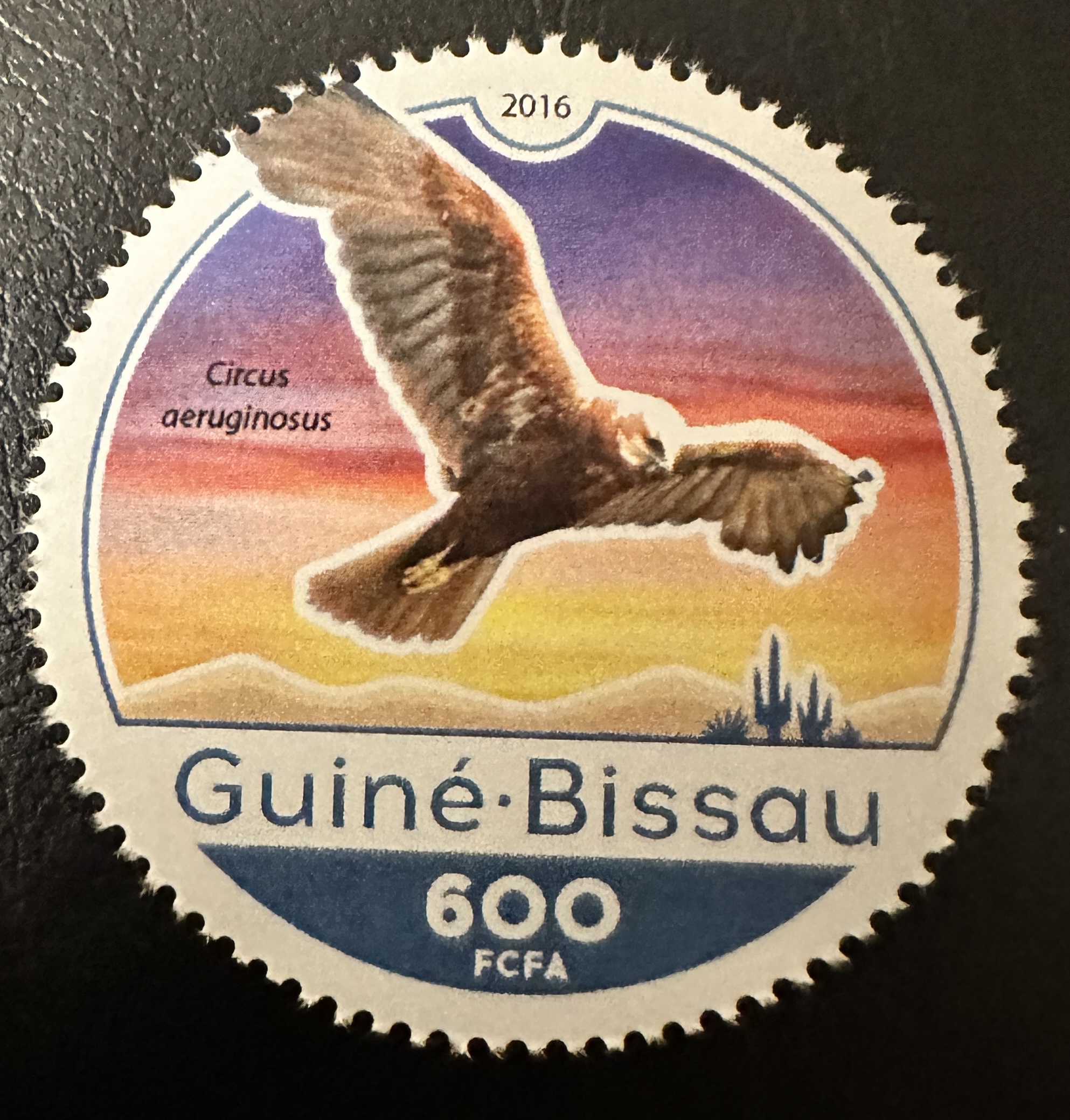 Guinea Bisau Round 4