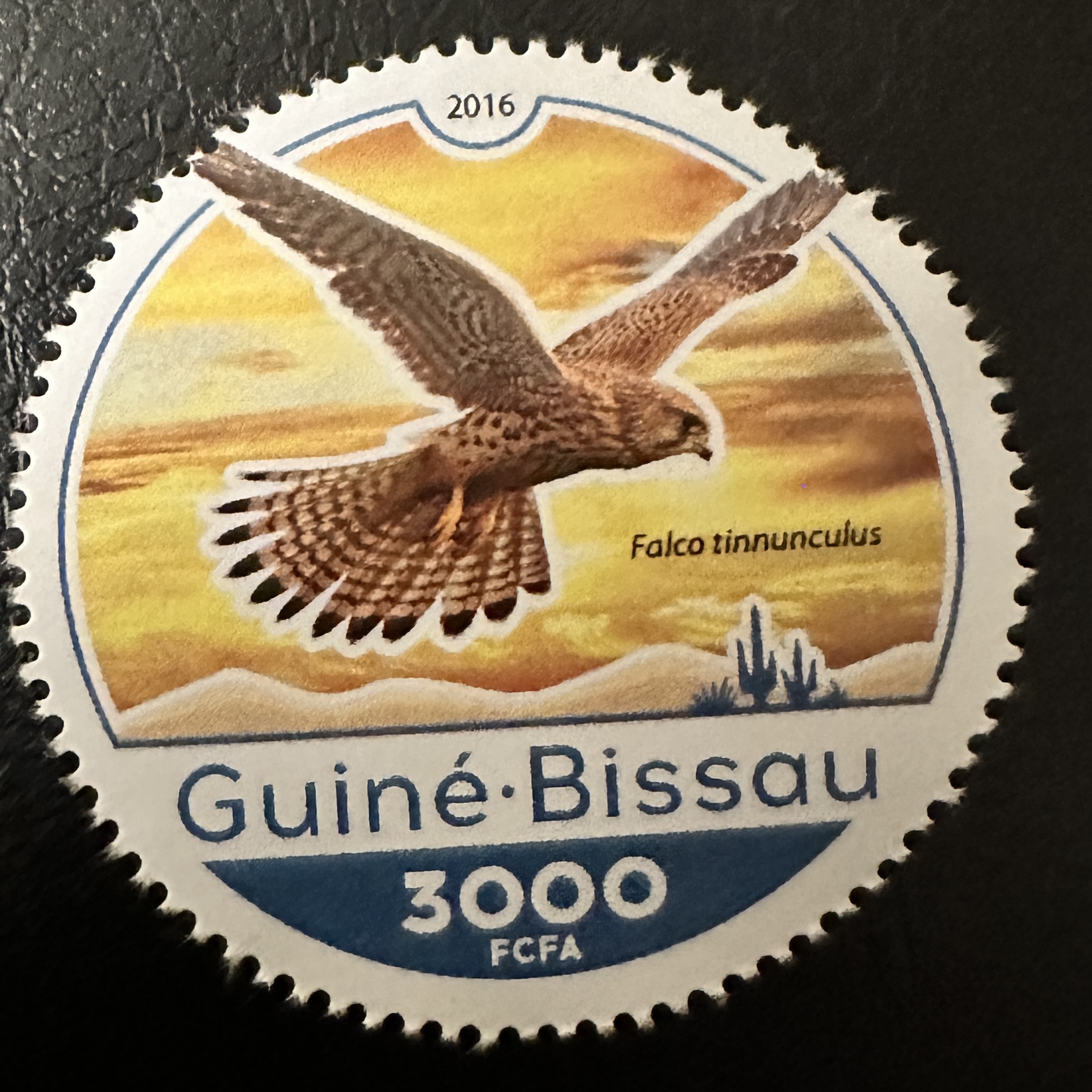 Guinea Bisau Round 3