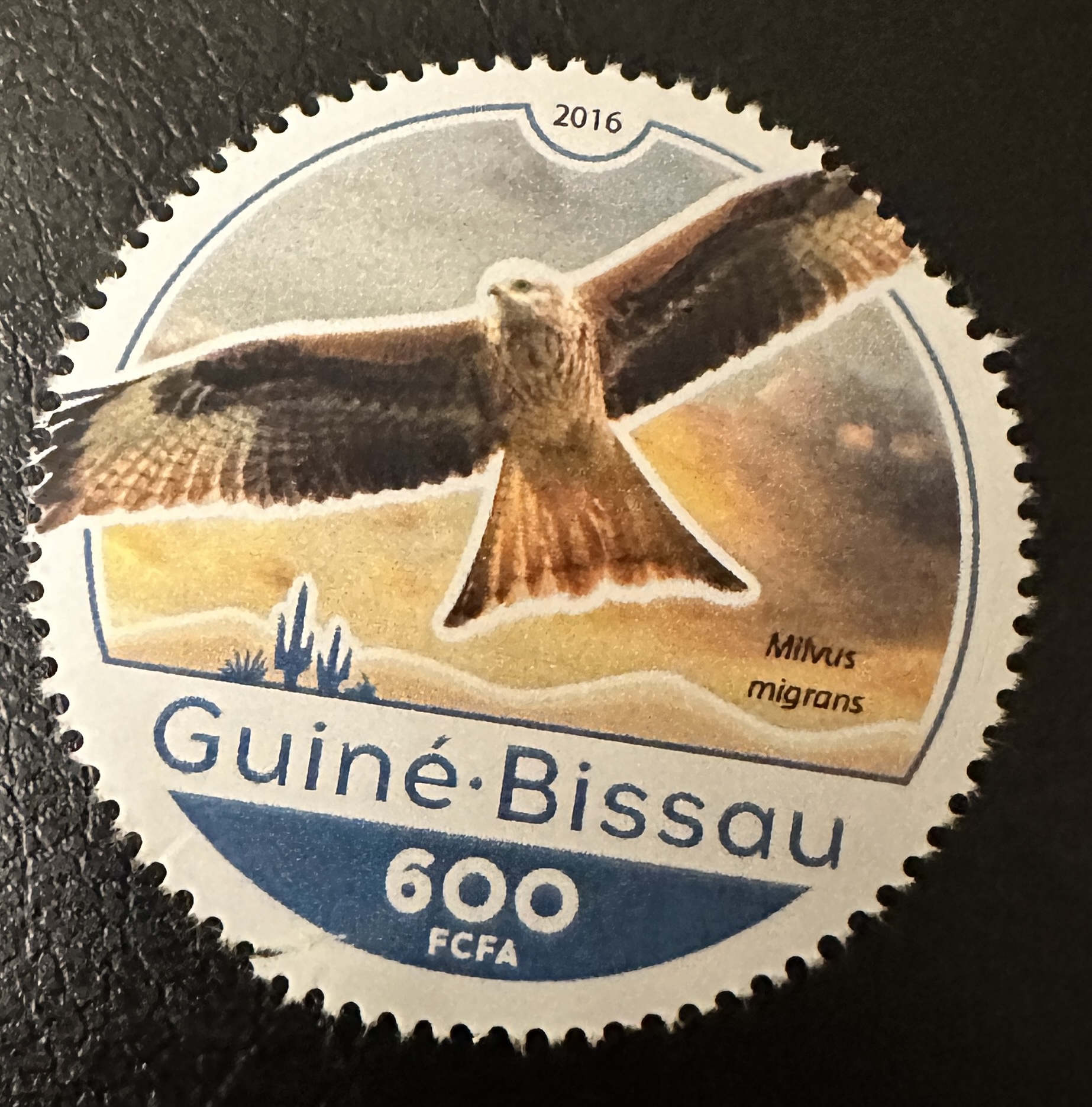 Guinea Bisau Round 2