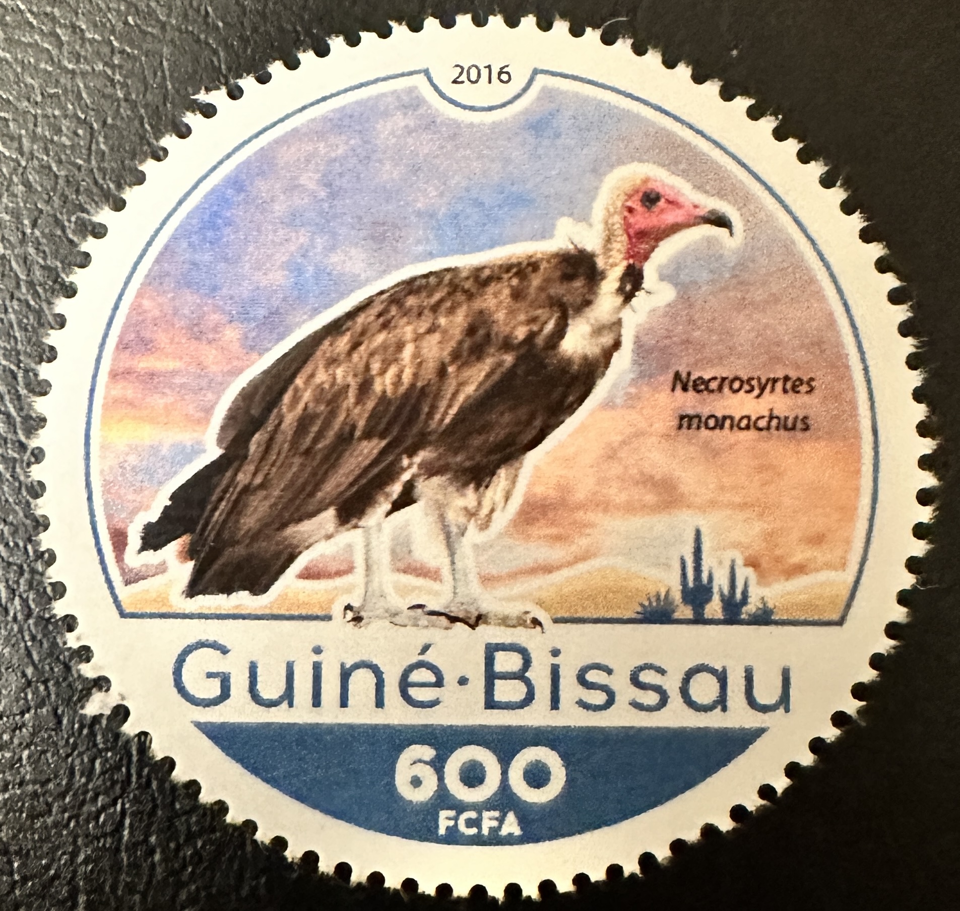 Guinea Bissau Round 1