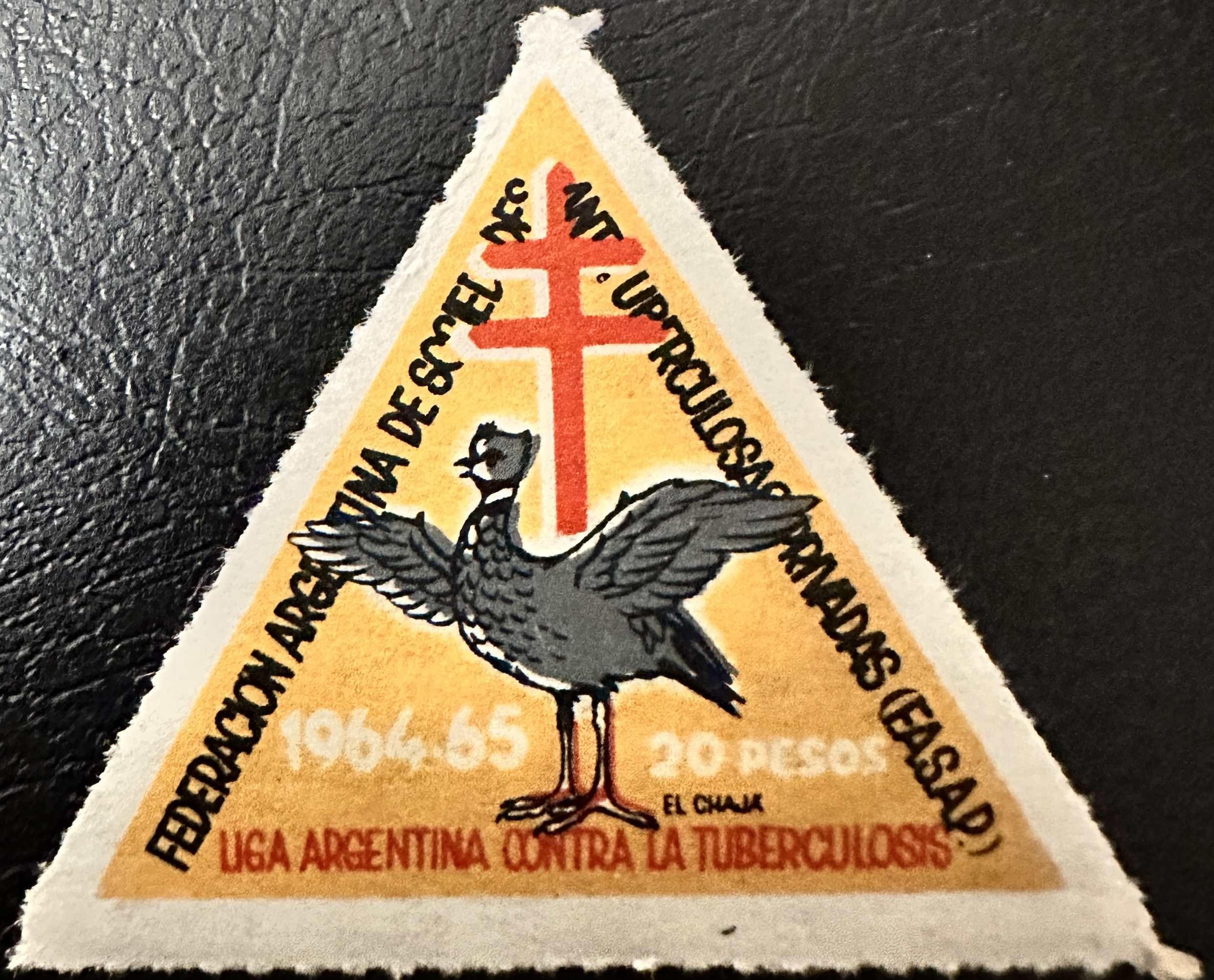 Argentina 1964 Cinderella