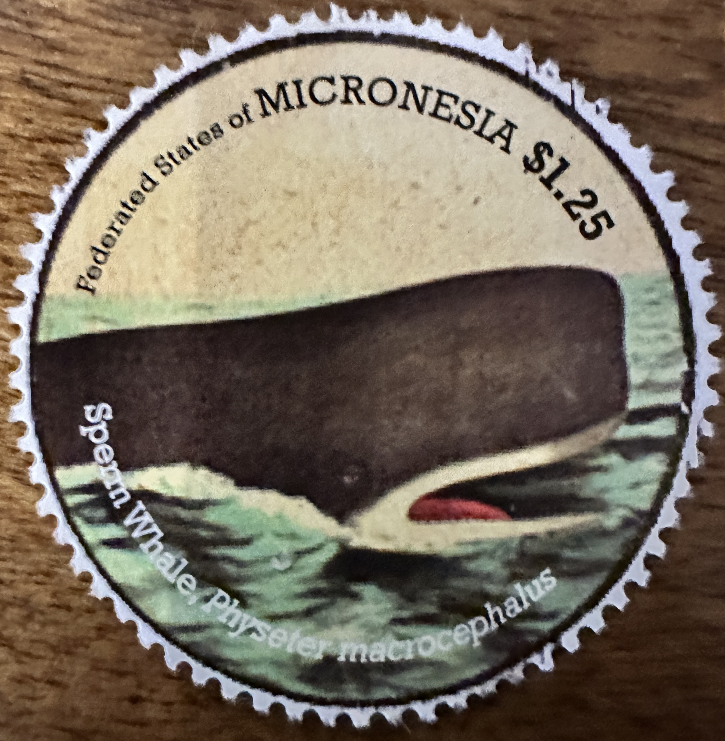 Micronesia Whales 2