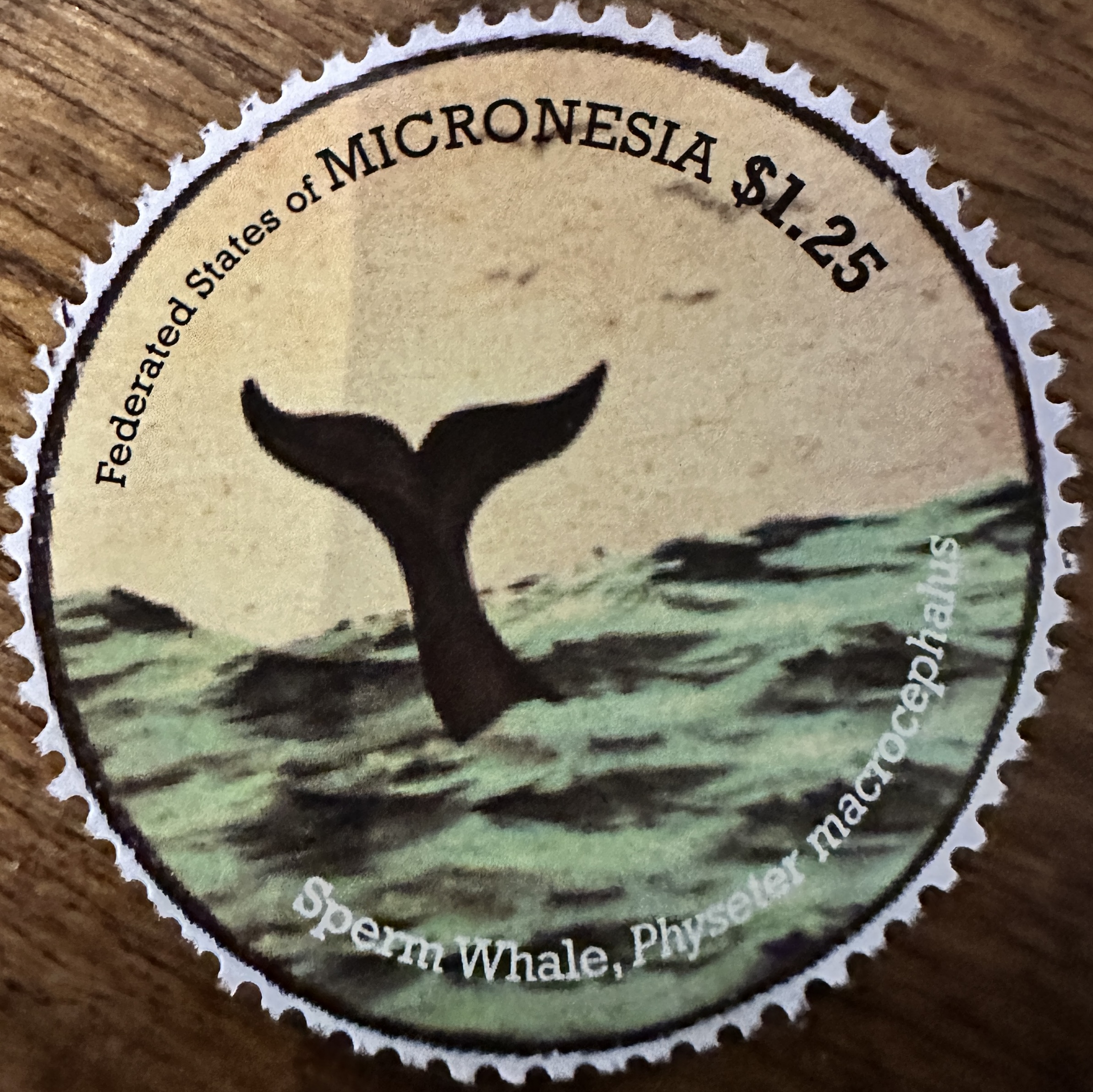 Micronesia Whales 1