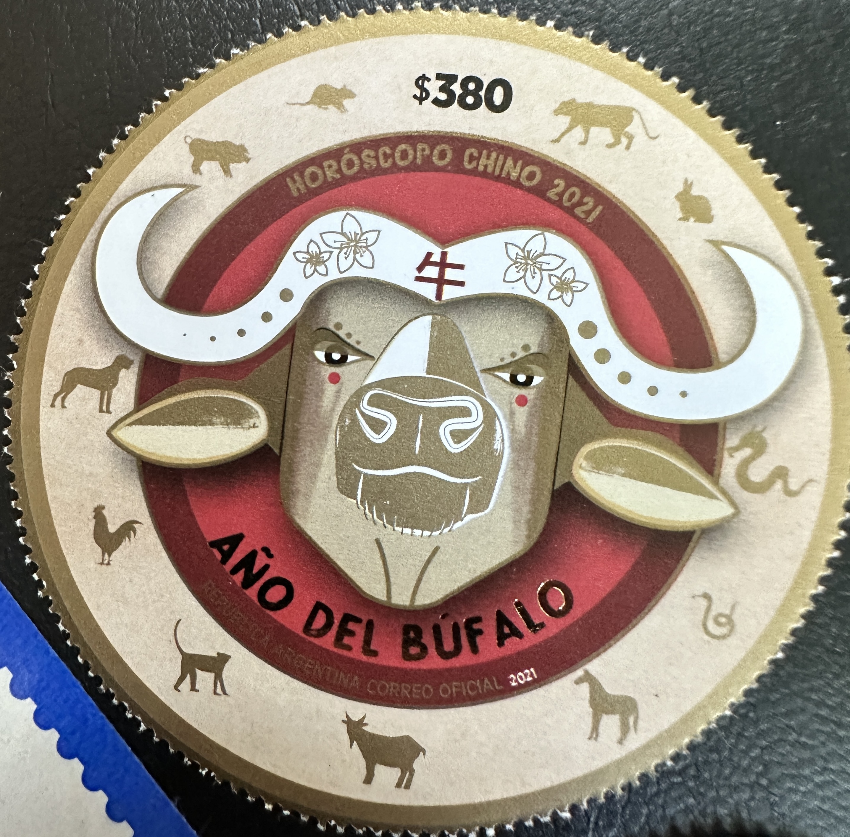 Argentina Year of Buffalo