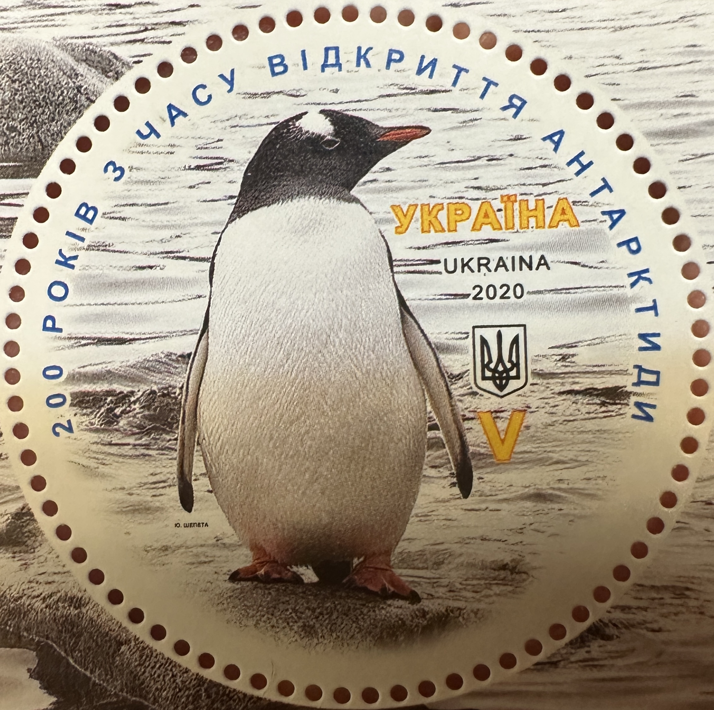 Ukraine Penguin