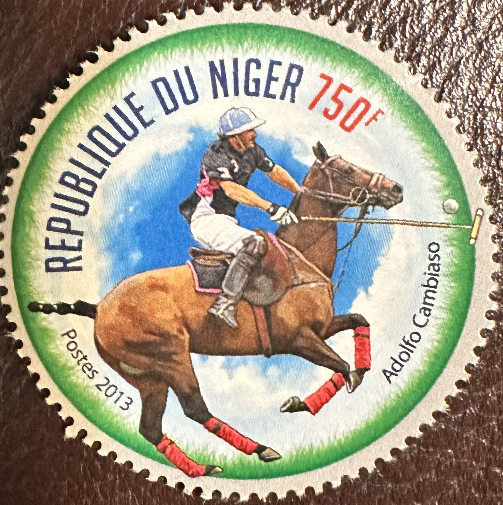 Niger Polo 4