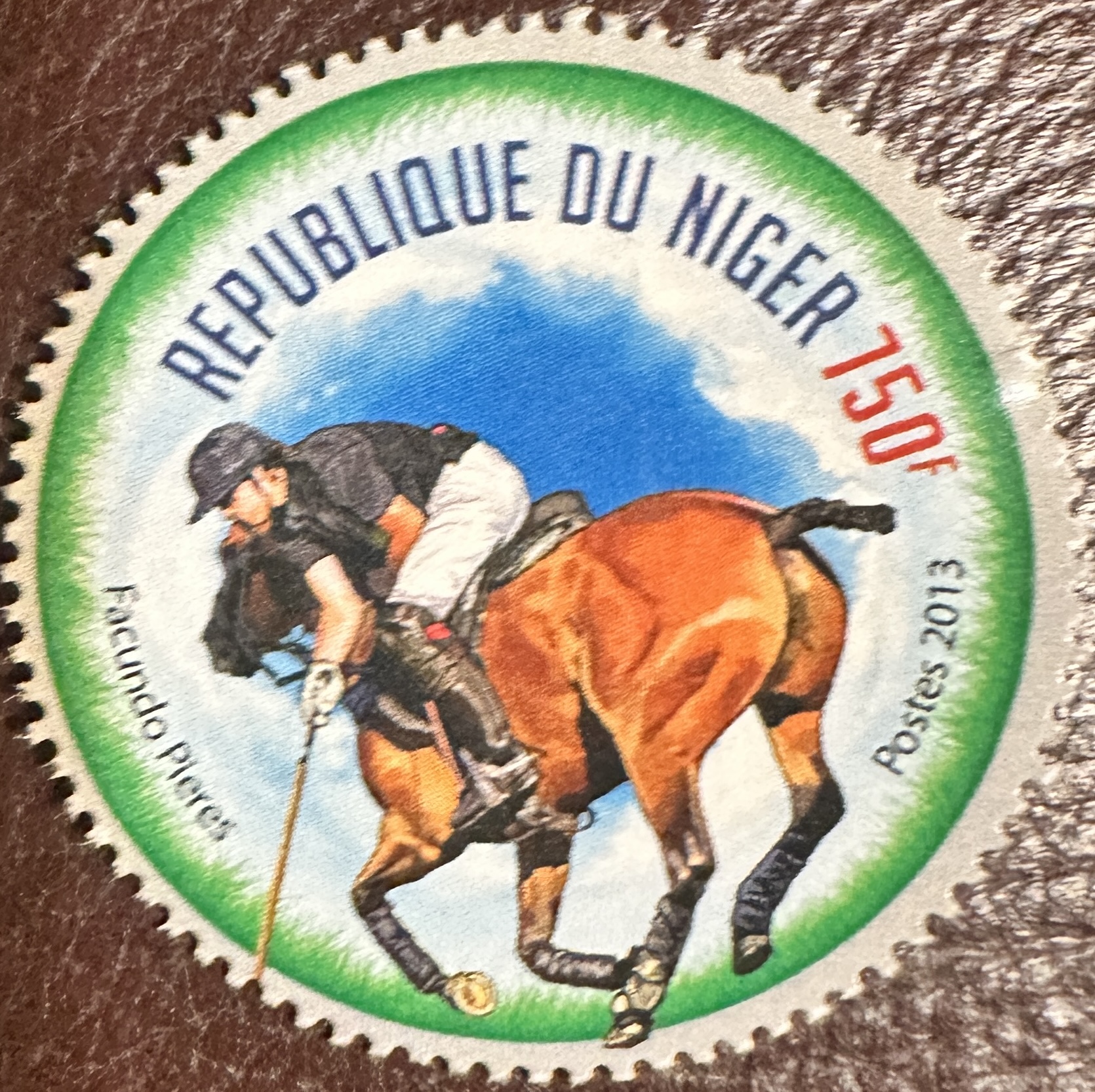 Niger Polo 3