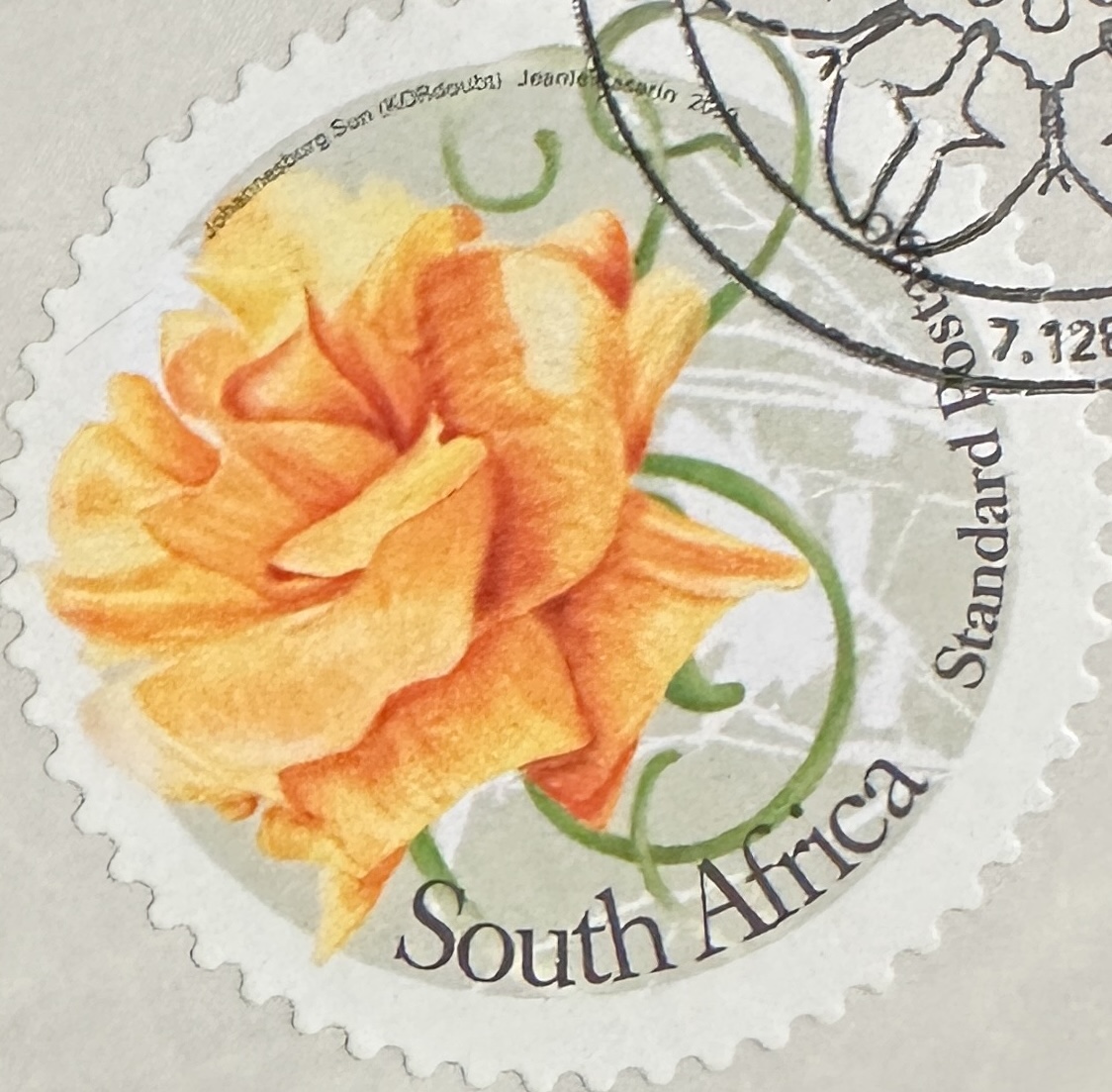 South Africa Flowers 1