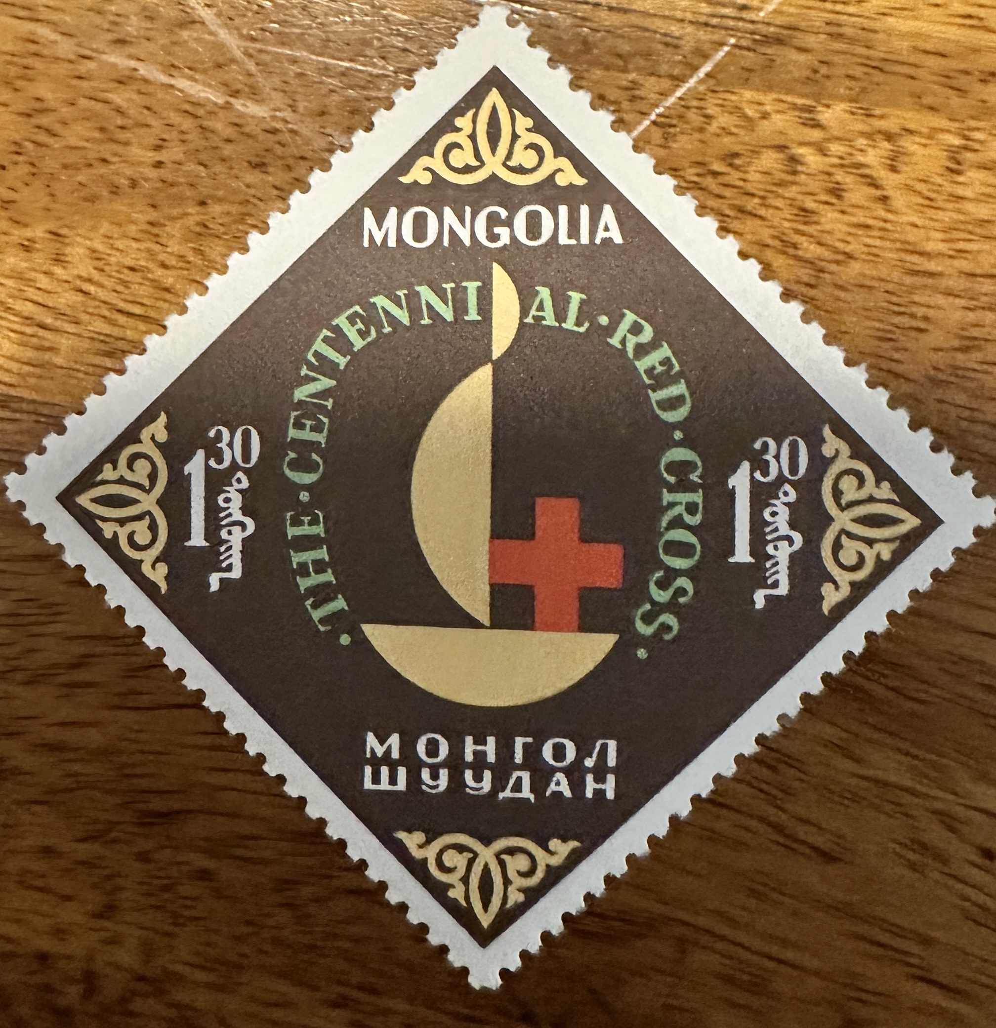 Mongolia Red Cross 3