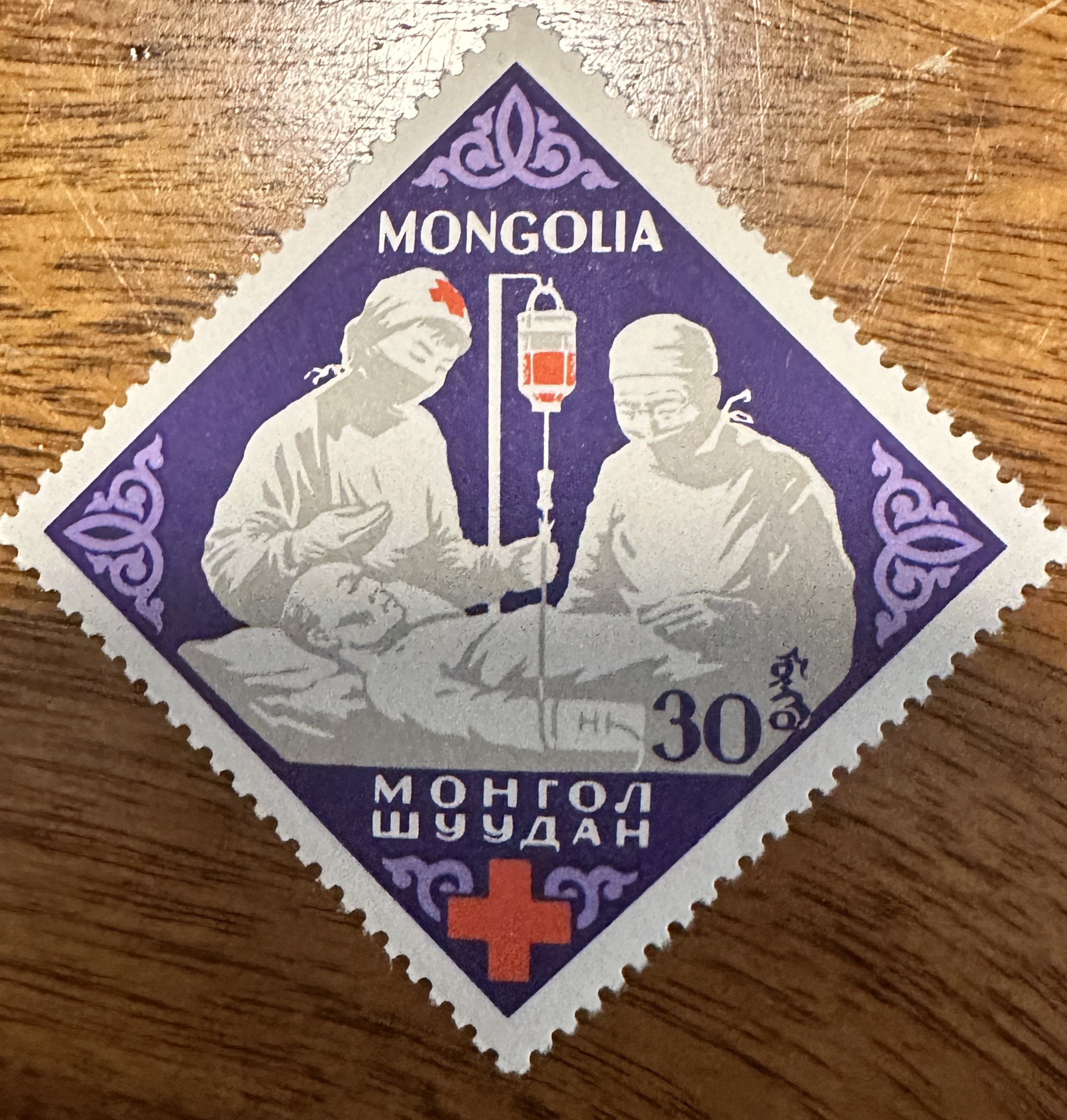 Mongolia Red Cross 5