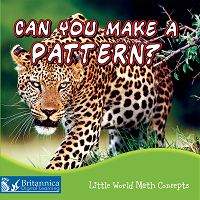 Cover of Can You Make a Pattern?