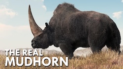 Elasmotherium (Video) 