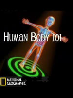 Human Body 101 (Video)