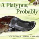 A Platypus, Probably 